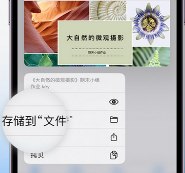 香洲apple维修中心分享iPhone文件应用中存储和找到下载文件