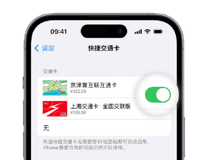 香洲apple维修点分享iPhone上更换Apple Pay快捷交通卡手绘卡面 