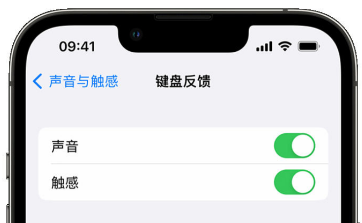 香洲苹果手机维修分享iPhone 14触感键盘使用方法 