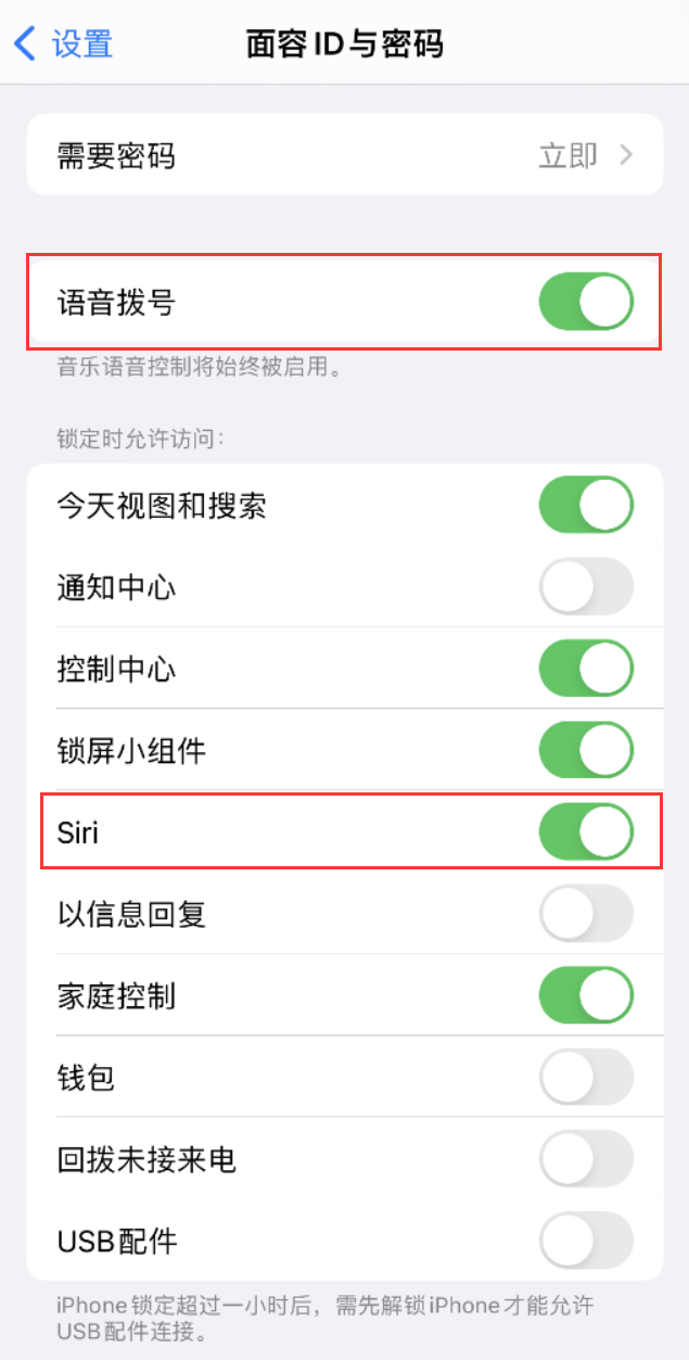 香洲苹果维修网点分享不解锁 iPhone 的情况下通过 Siri 拨打电话的方法 