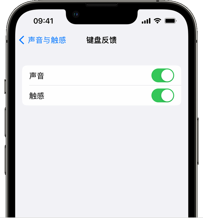 香洲苹果14维修分享iPhone 14 系列机型如何开启键盘声音或触感反馈 
