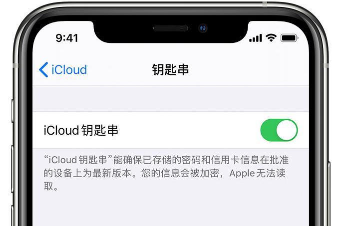 香洲苹果手机维修分享在 iPhone 上开启 iCloud 钥匙串之后会储存哪些信息 