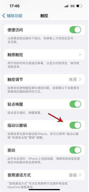 香洲苹果手机维修分享iPhone手机如何设置摇一摇删除文字 