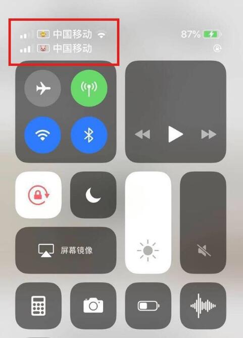 香洲苹果手机维修分享为 iPhone 12 双卡设置标签 